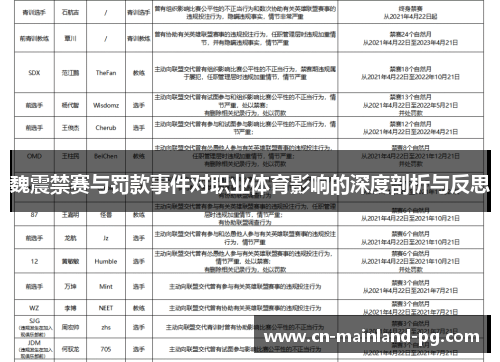 魏震禁赛与罚款事件对职业体育影响的深度剖析与反思