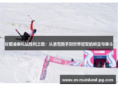 谷爱凌崇礼站胜利之路：从滑雪新手到世界冠军的蜕变与奋斗