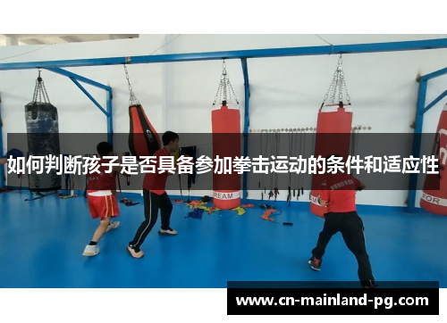 如何判断孩子是否具备参加拳击运动的条件和适应性