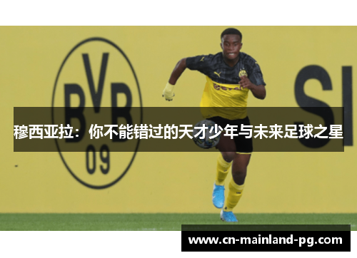 穆西亚拉：你不能错过的天才少年与未来足球之星